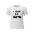 Now or Later Standard t-Shirt